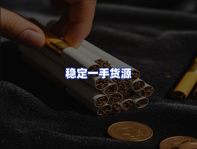 专业团队